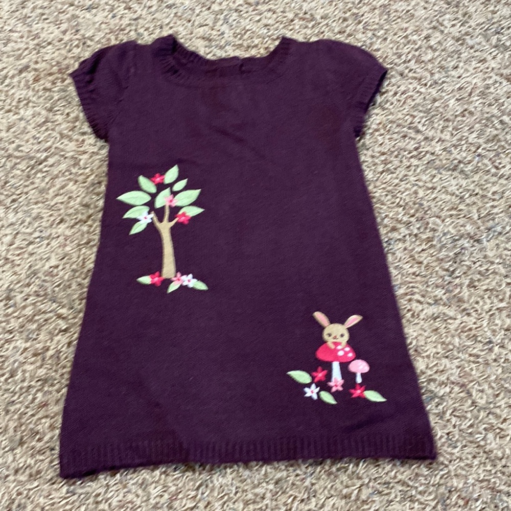 Little girl sweater dress